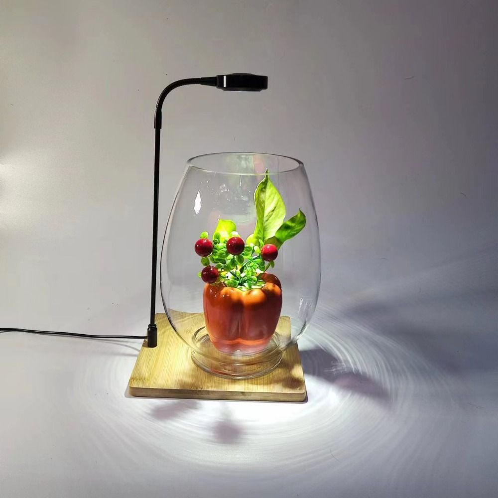 Aquarium Plant On Wood - ไฟปลูกต้นไม้ในตู้ปลา 10W พร้อมแผ่นไม้ ไฟ LED สำหรับตู้ปลา