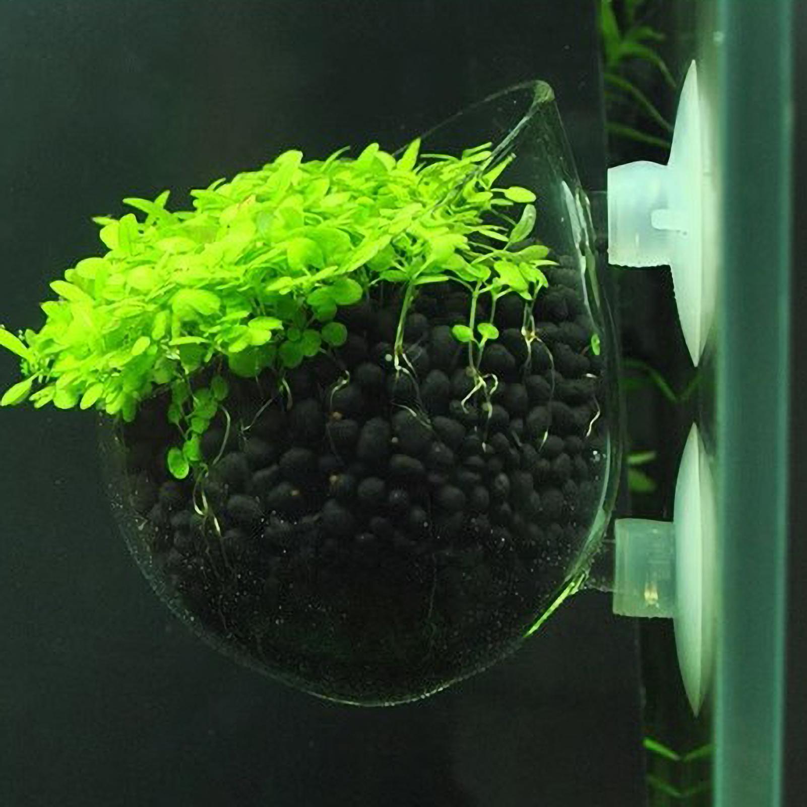 Aquarium Planted Tank Substrate - ที่วางต้นไม้ในตู้ปลา กระถางแก้วสำหรับปลูกพืชน้ำ พร้อมจุกดูดสุญญากาศ สำหรับปลูกพืชสดในตู้ปลา ที่วางต้นไม้ในตู้ปลา ของตกแต่งตู้ปลา