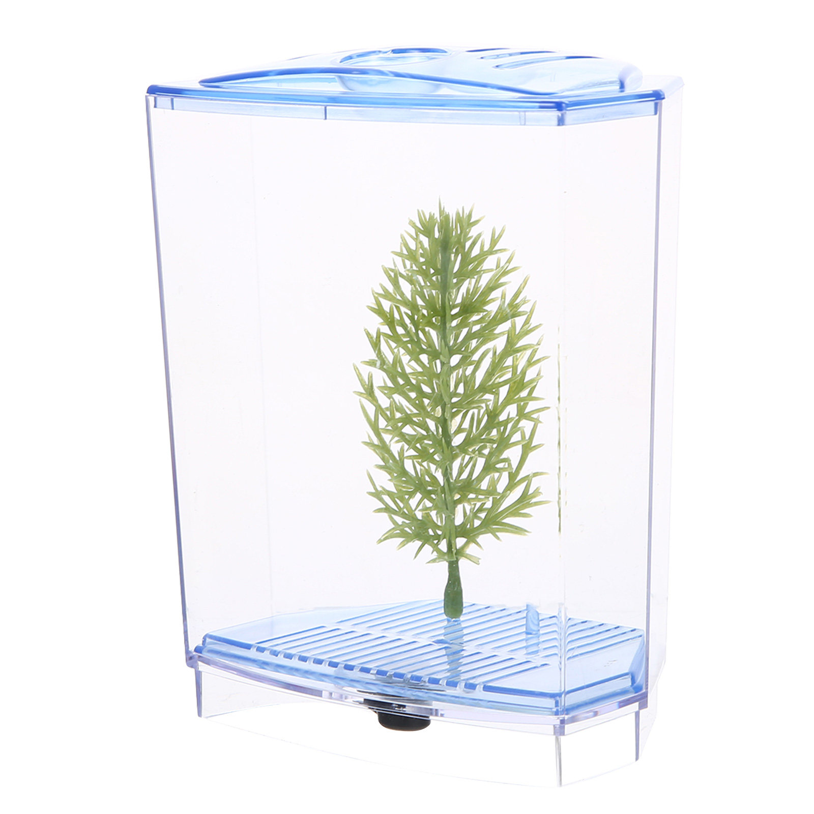 Planted Aquarium For Goldfish - ตู้ปลาขนาดเล็ก พลาสติกใส สำหรับตั้งโต๊ะ บ้าน สำนักงาน ปลาขนาดเล็ก