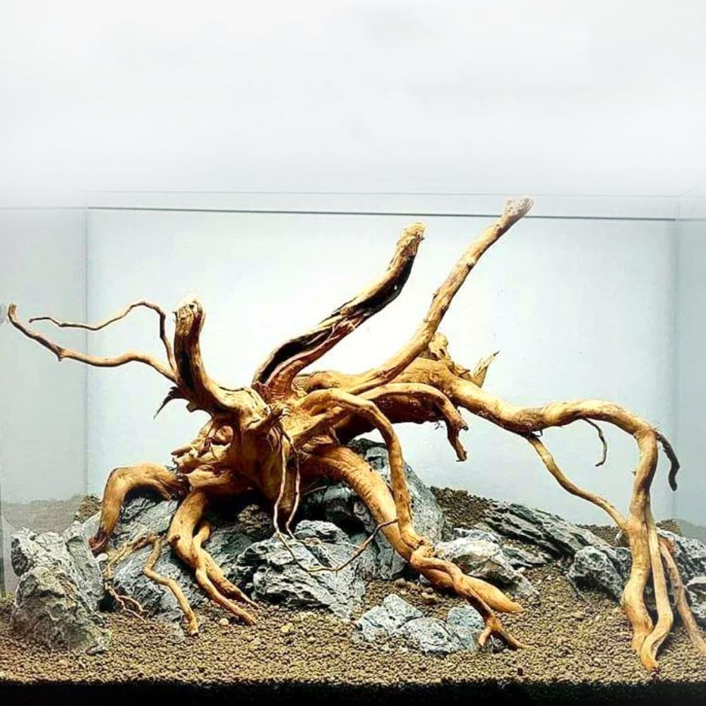 Aquarium Plant Growing - ลำต้นของต้นไม้ธรรมชาติตกแต่งงานไม้ตกแต่งงานศิลปะที่ทำจากไม้กิ่งไม้กิ่งไม้อุปกรณ์ตกแต่งตู้ปลา