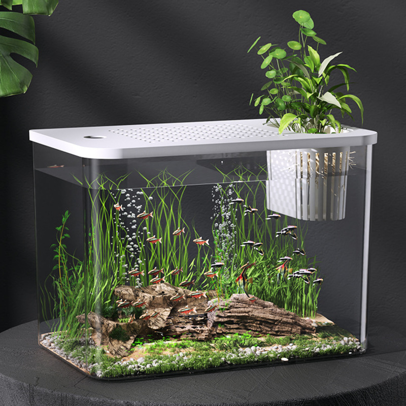 Planted Aquarium For Goldfish - ตู้ปลาพลาสติกใสพร้อมฝาปิด ขนาดเล็กสำหรับตั้งโต๊ะ เหมาะสำหรับปลาทอง เต่า ตกแต่งโต๊ะทำงาน ตกแต่งบ้าน