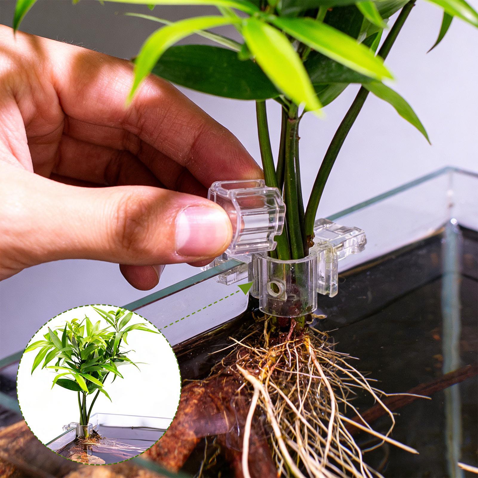 Aquarium Plant Growing - ที่แขวนต้นไม้ในตู้ปลาแบบใส 6 ชิ้น ถ้วยปลูกต้นไม้แบบแขวนสำหรับตู้ปลา สำหรับปลูกพืชในบ้าน