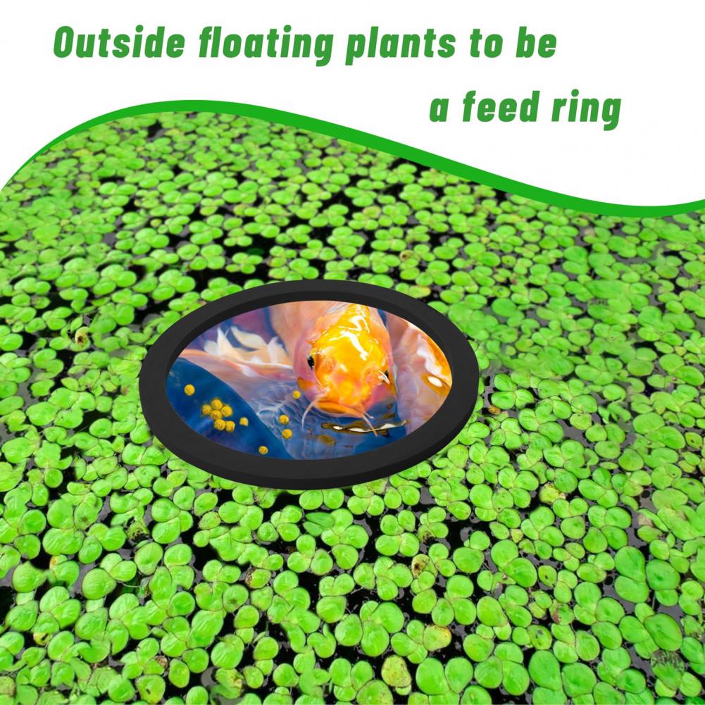 Planted Aquarium For Goldfish - EVA โฟมลอยแหวนสําหรับถังปลา Aquarium ลอยแหวนชุดสําหรับถังปลา Pond โฟม