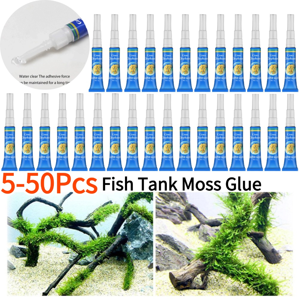 Aquarium Plant Glue - 50-5 ชิ้นถังปลาภูมิทัศน์ Moss กาว Aquarium น้ําหญ้า