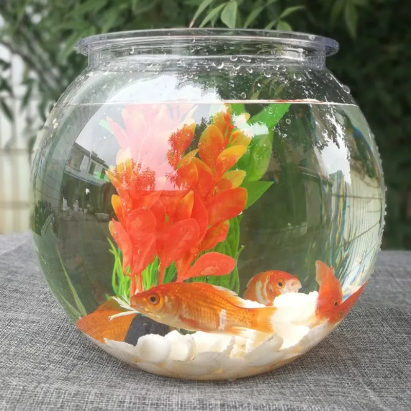 ชามปลาทองเดสก์ท็อปโปร่งใสพลาสต - Planted Aquarium For Goldfish บทวิจารณ์และราคา