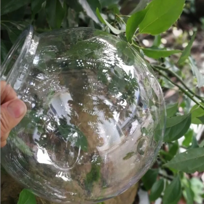 ชามปลาทองเดสก์ท็อปโปร่งใสพลาสต - Planted Aquarium For Goldfish บทวิจารณ์และราคา