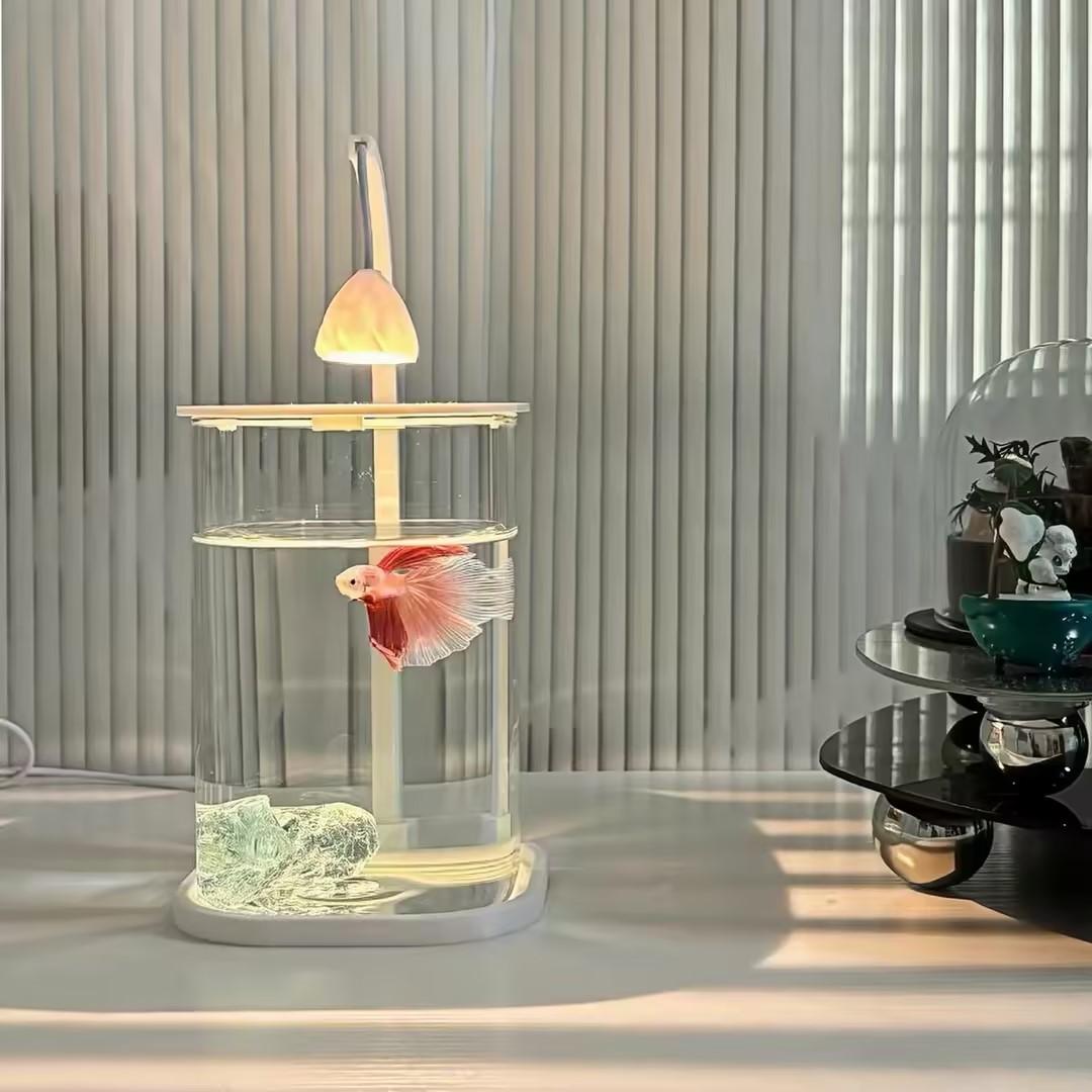 360 °   ตู้ปลาตั้งโต๊ะแบบพาโนร - Planted Aquarium For Goldfish บทวิจารณ์และราคา