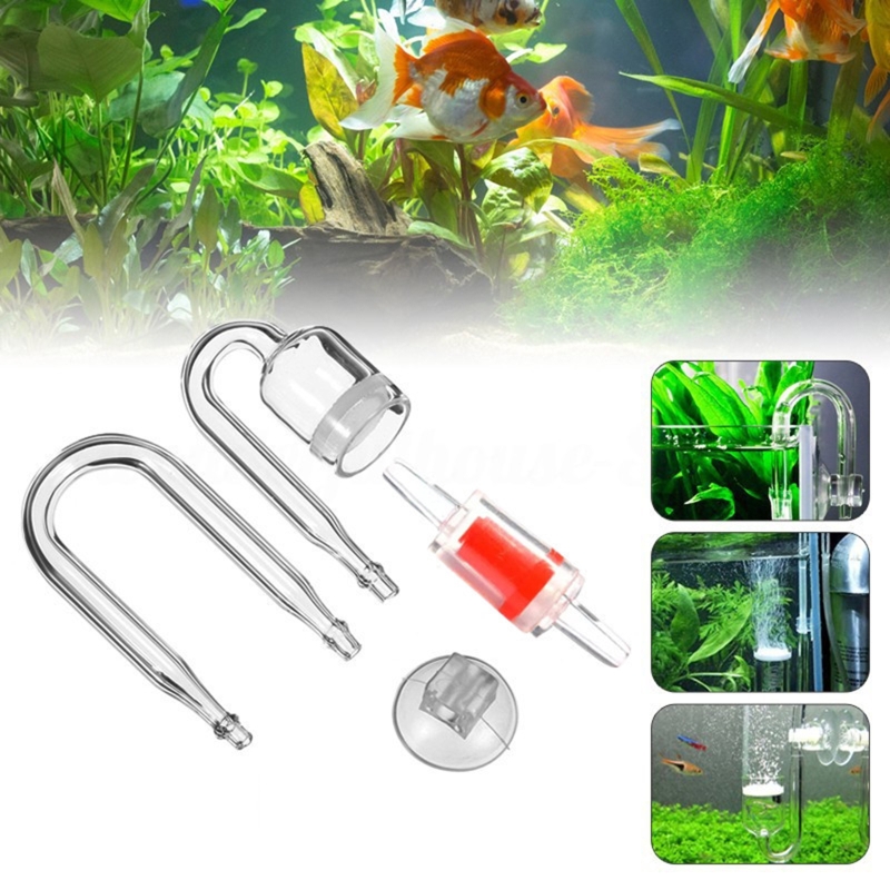 DIY ชุดกระจาย CO2 4ชิ้นสำหรับต - Aquarium Plant Echinodorus บทวิจารณ์และราคา