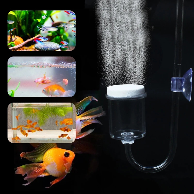 DIY ชุดกระจาย CO2 4ชิ้นสำหรับต - Aquarium Plant Echinodorus บทวิจารณ์และราคา