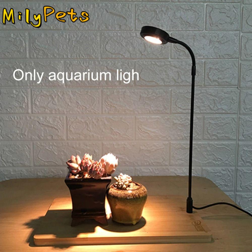 ไฟปลูกพืชน้ำในตู้ปลา 10W พร้อม - Aquarium Plant On Wood บทวิจารณ์และราคา
