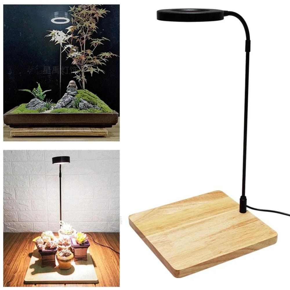 ไฟปลูกพืชน้ำในตู้ปลา 10W พร้อม - Aquarium Plant On Wood บทวิจารณ์และราคา