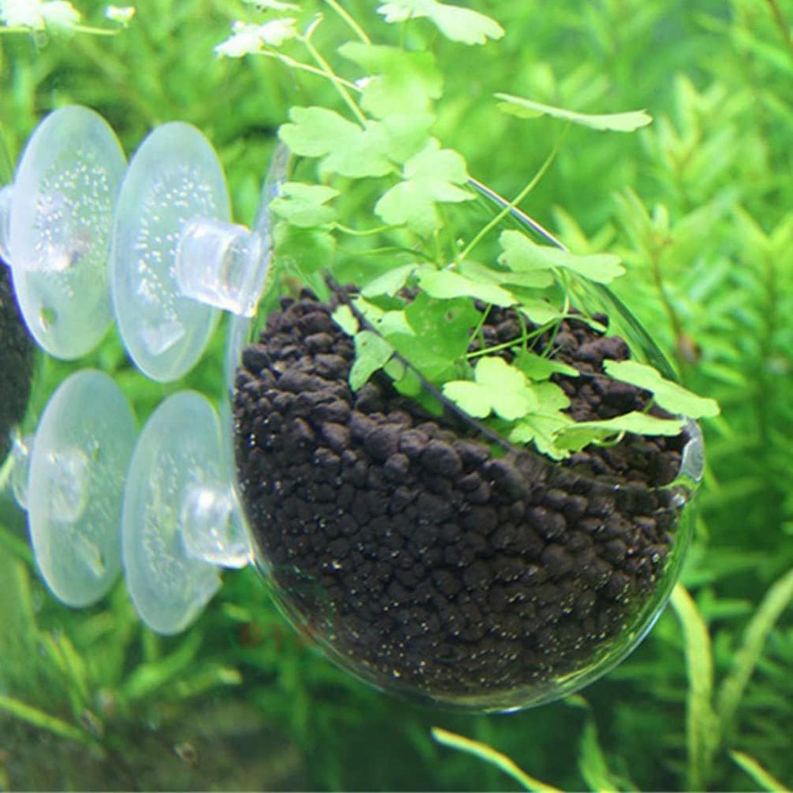 ที่วางต้นไม้ในตู้ปลา กระถางแก้ - Aquarium Planted Tank Substrate บทวิจารณ์และราคา