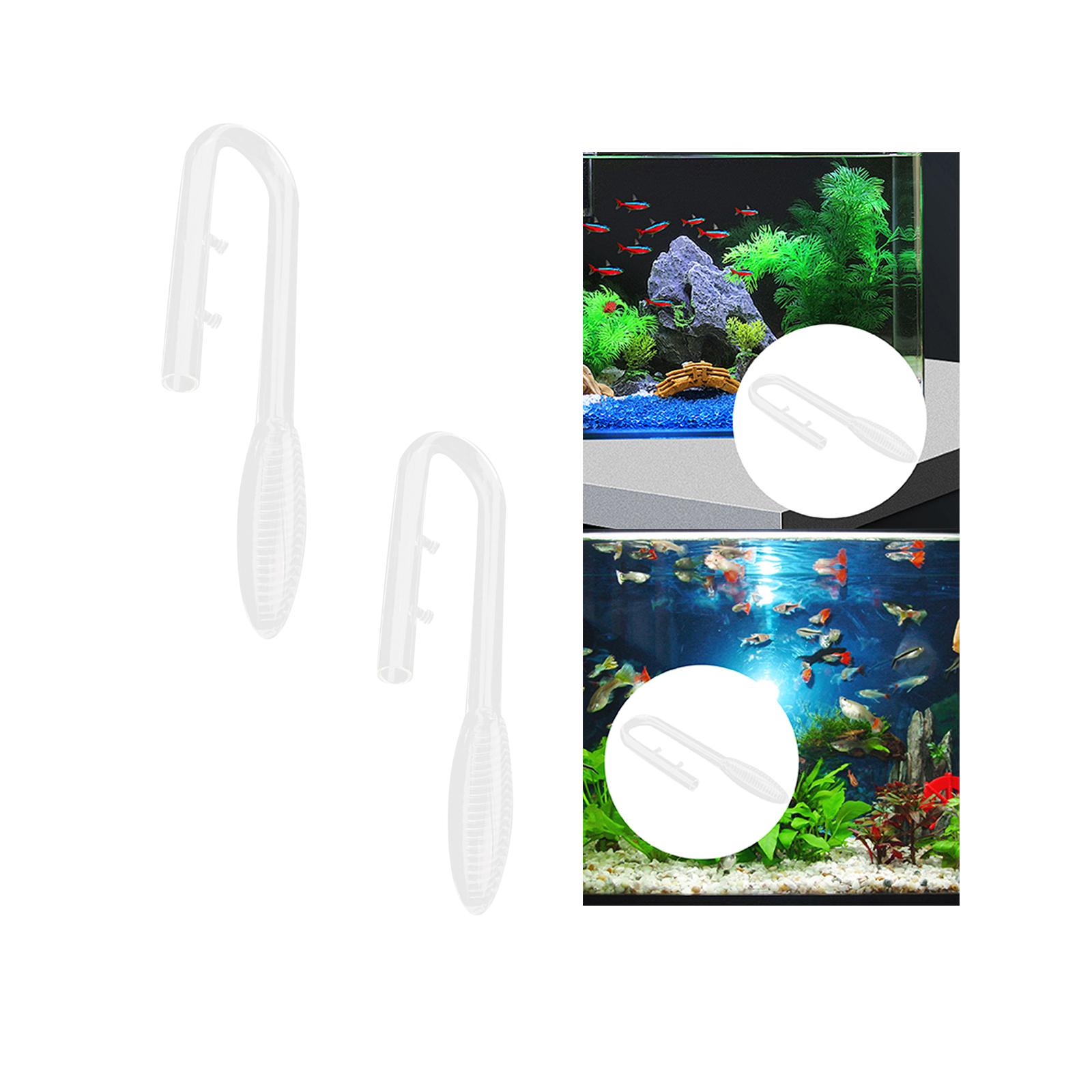 สีม่วงแก้วท่อไหลเข้าท่อไหลเข้า - Aquarium Plant Violet บทวิจารณ์และราคา