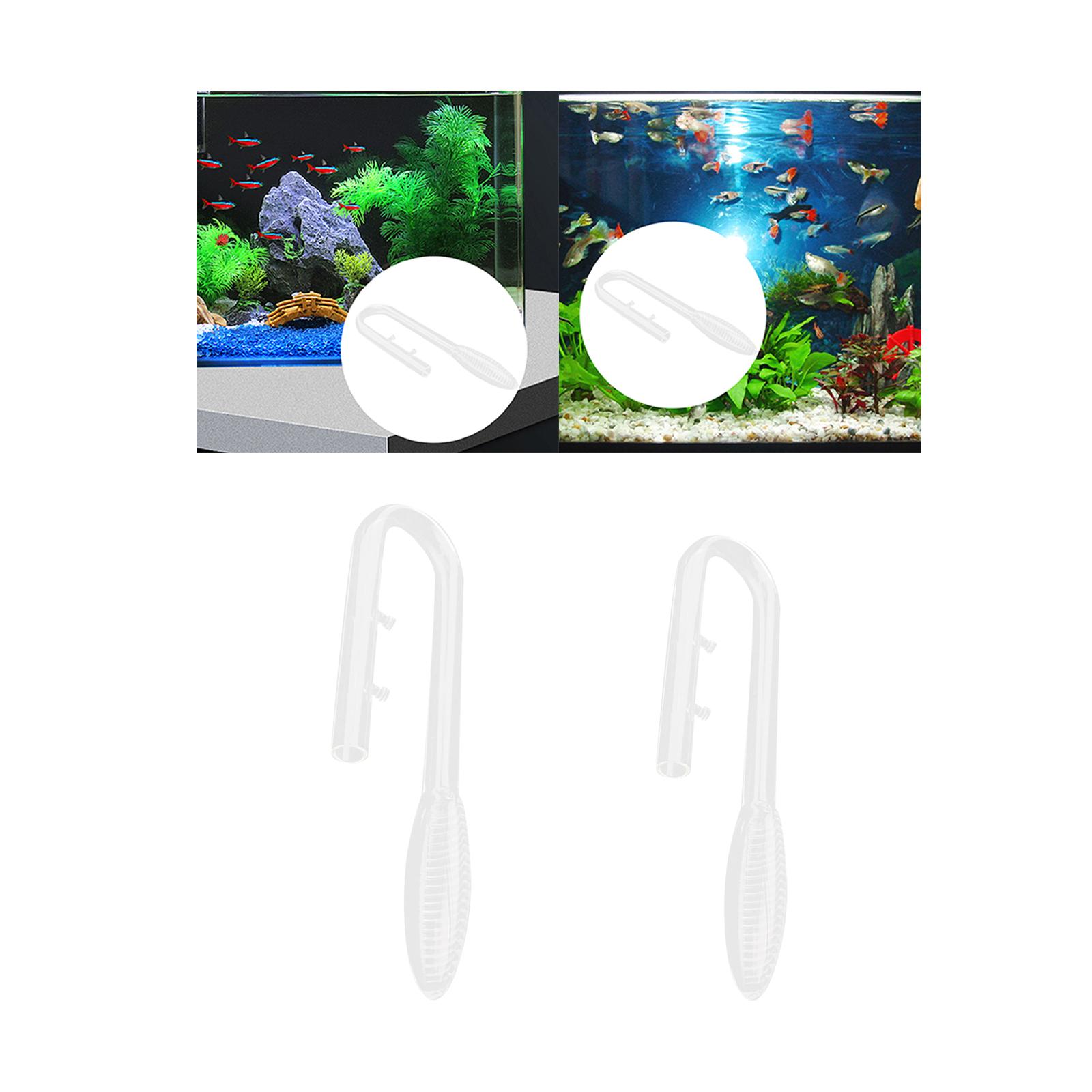 สีม่วงแก้วท่อไหลเข้าท่อไหลเข้า - Aquarium Plant Violet บทวิจารณ์และราคา