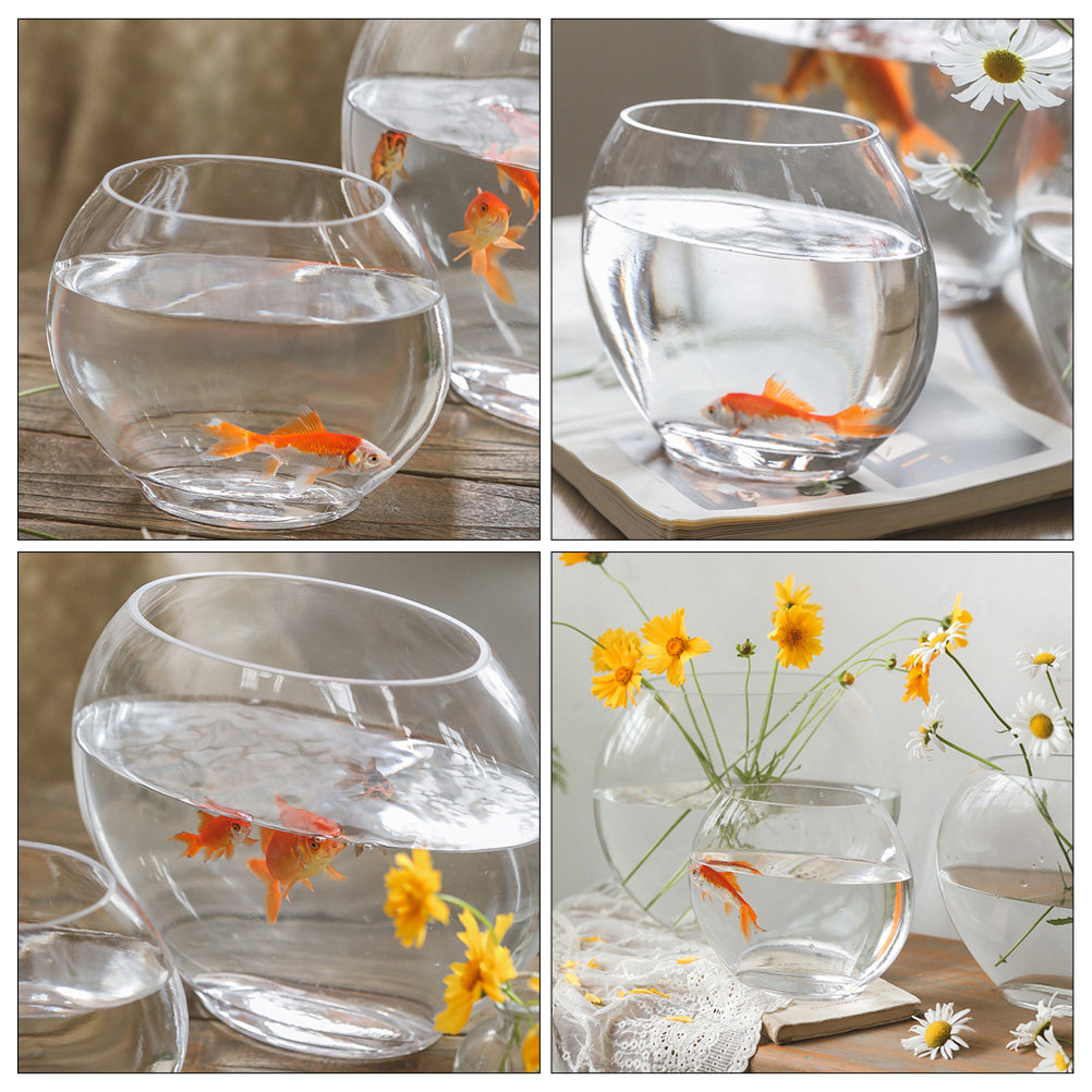 ตู้ปลาแก้วดีไซน์หรูหรา โปร่งใส - Planted Aquarium For Goldfish บทวิจารณ์และราคา
