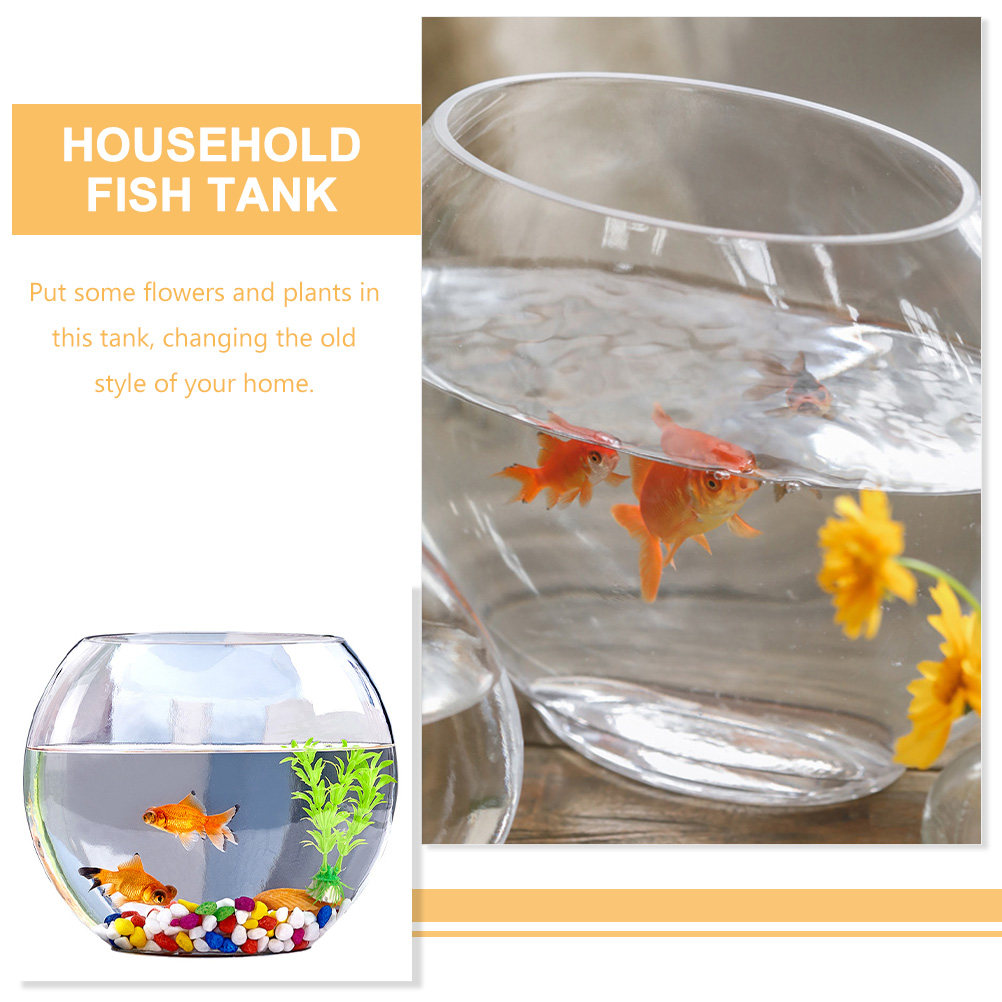 ตู้ปลาแก้วดีไซน์หรูหรา โปร่งใส - Planted Aquarium For Goldfish บทวิจารณ์และราคา