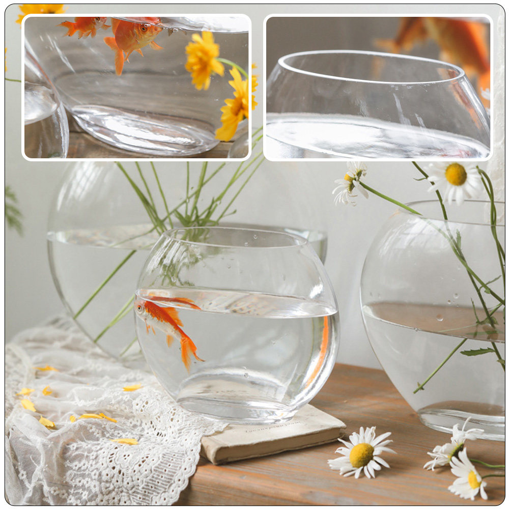 ตู้ปลาแก้วดีไซน์หรูหรา โปร่งใส - Planted Aquarium For Goldfish บทวิจารณ์และราคา