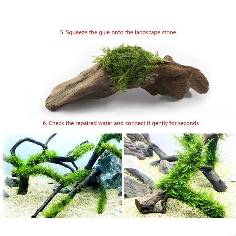 กาวติดต้นไม้สำหรับตู้ปลา 25 ชิ - Aquarium Plant Glue บทวิจารณ์และราคา