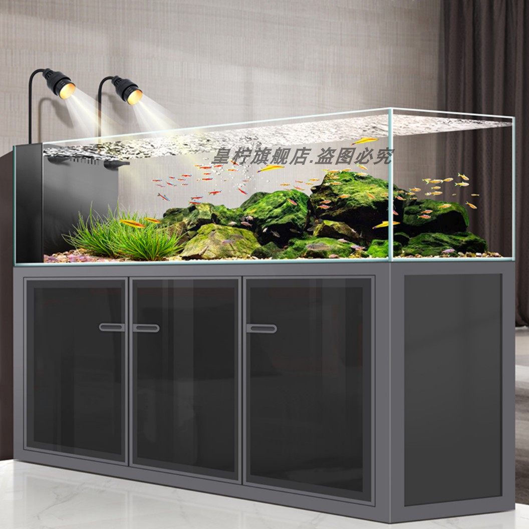 ตู้ปลา Yjq Industrial Wind Str - Aquarium Plant Echinodorus บทวิจารณ์และราคา