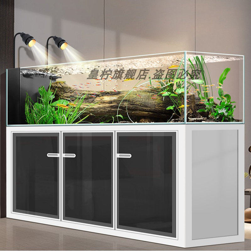 ตู้ปลา Yjq Industrial Wind Str - Aquarium Plant Echinodorus บทวิจารณ์และราคา