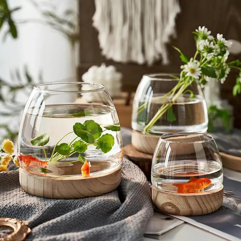 ตู้ปลาทรงกลมตกแต่งพร้อมฐานไม้  - Planted Aquarium For Goldfish บทวิจารณ์และราคา