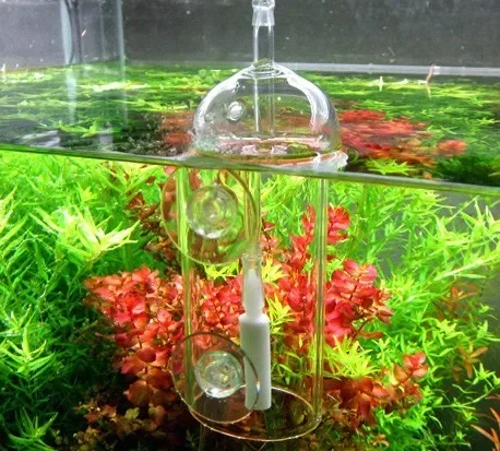 VIV Do อุปกรณ์ Aquarium กระบอก - Aquarium Lily Pipe บทวิจารณ์และราคา