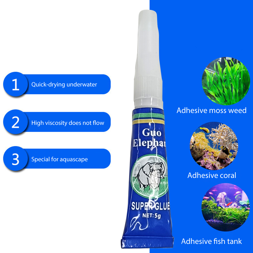 กาวติดต้นไม้น้ำ 5-30 ชิ้น สำหร - Aquarium Plant Glue บทวิจารณ์และราคา