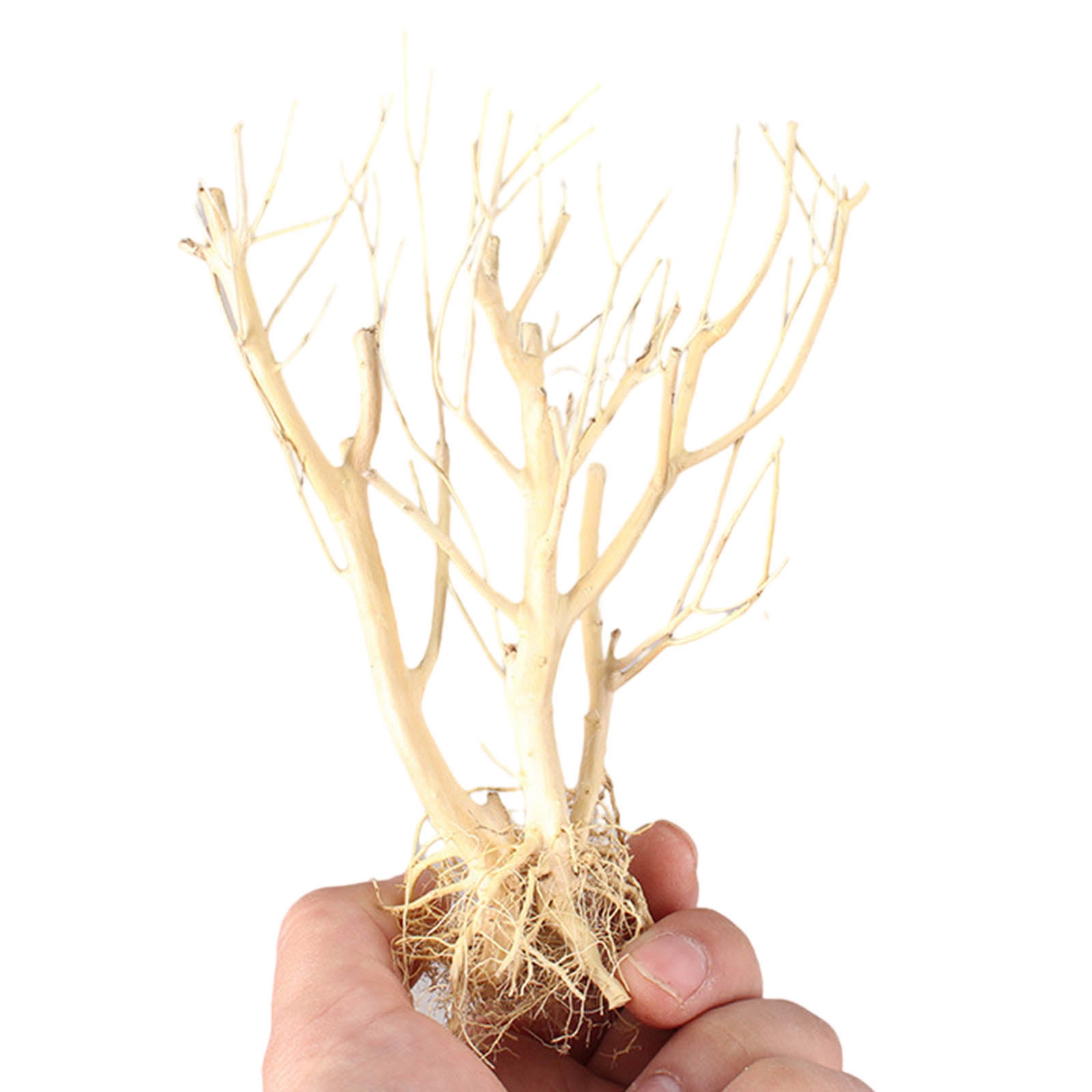 ไม้ตกแต่งตู้ปลา DIY แบบใหม่ ต้ - Aquarium Plant On Wood บทวิจารณ์และราคา
