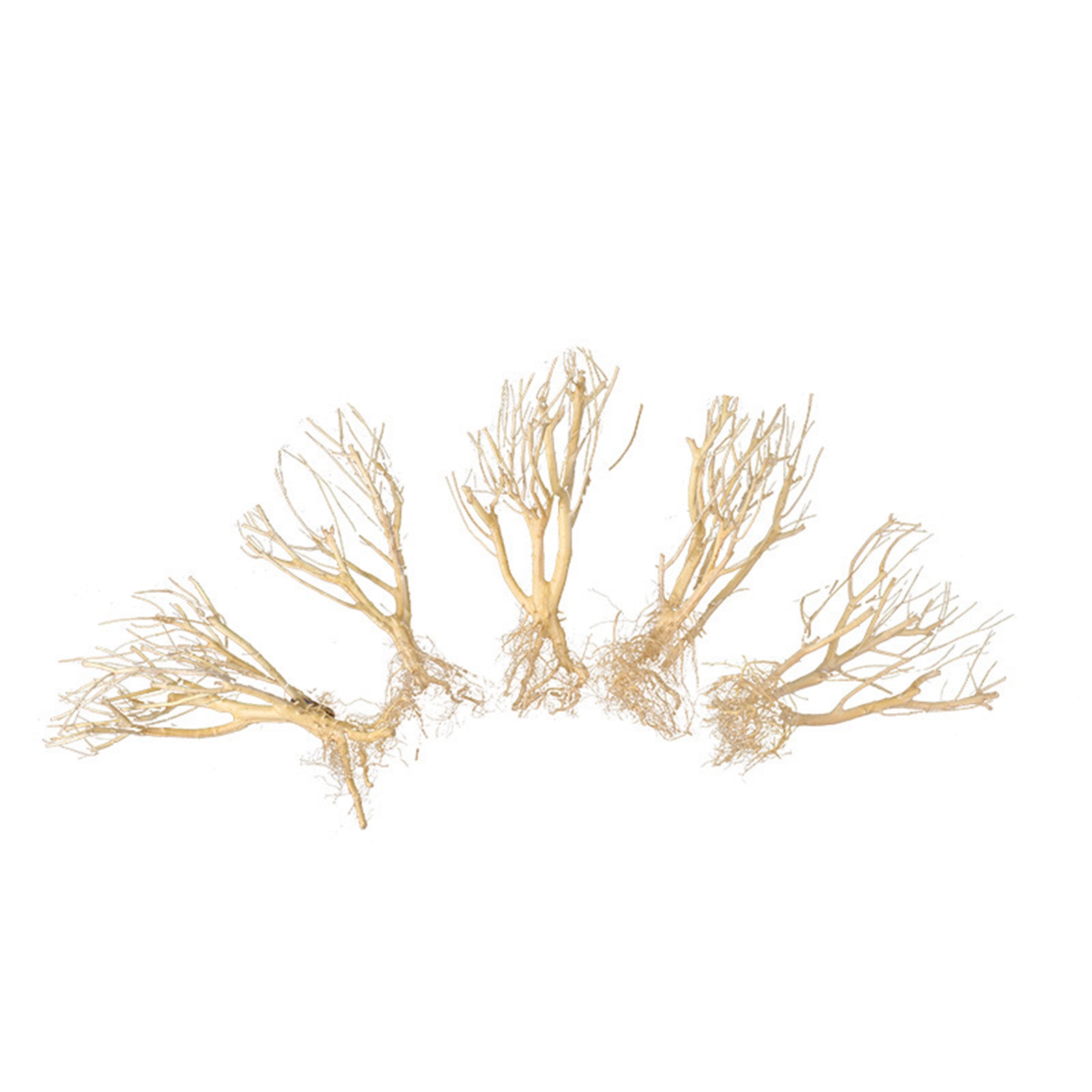 ไม้ตกแต่งตู้ปลา DIY แบบใหม่ ต้ - Aquarium Plant On Wood บทวิจารณ์และราคา