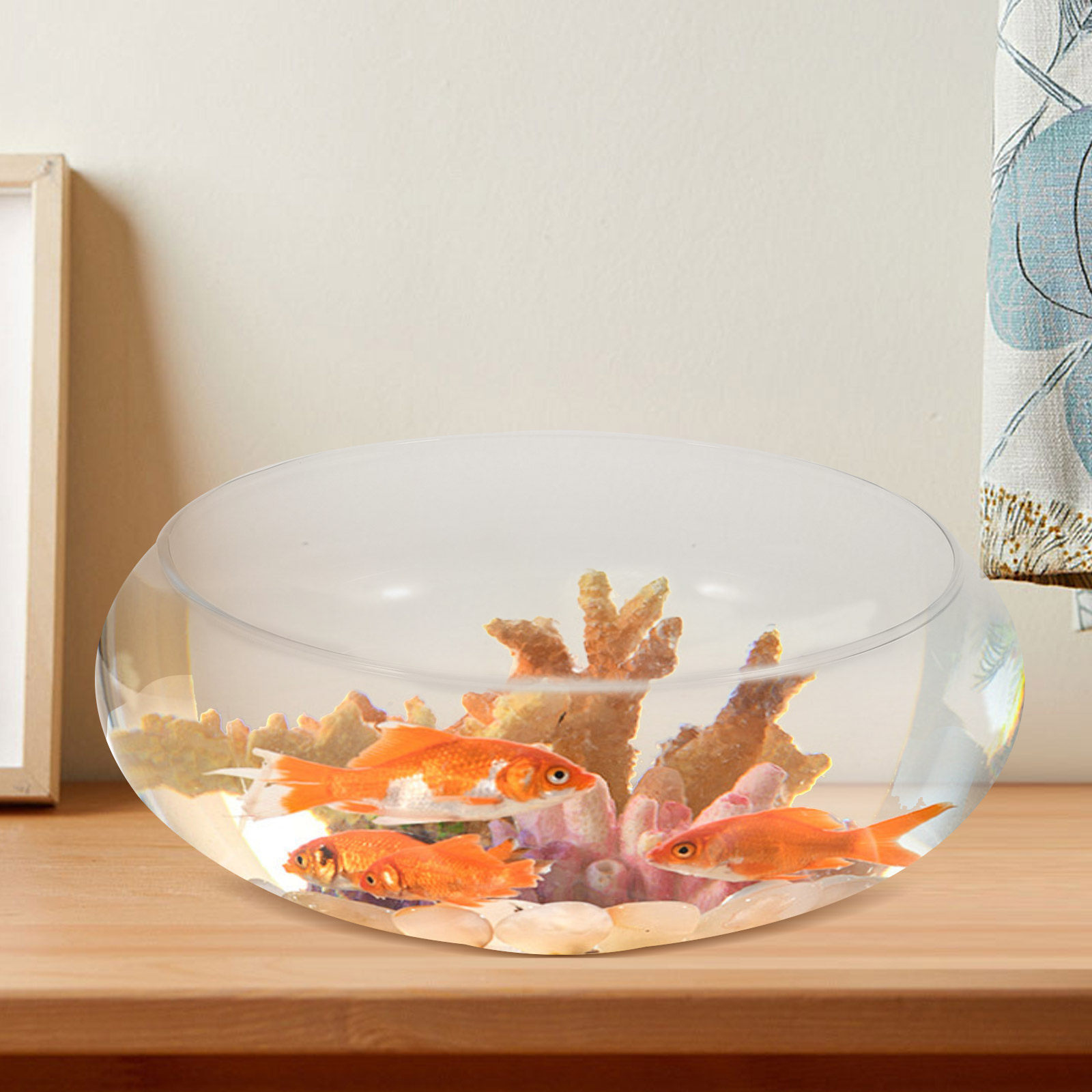 ตู้ปลาแก้วใสพรีเมียมขนาดเล็กสำ - Planted Aquarium For Goldfish บทวิจารณ์และราคา