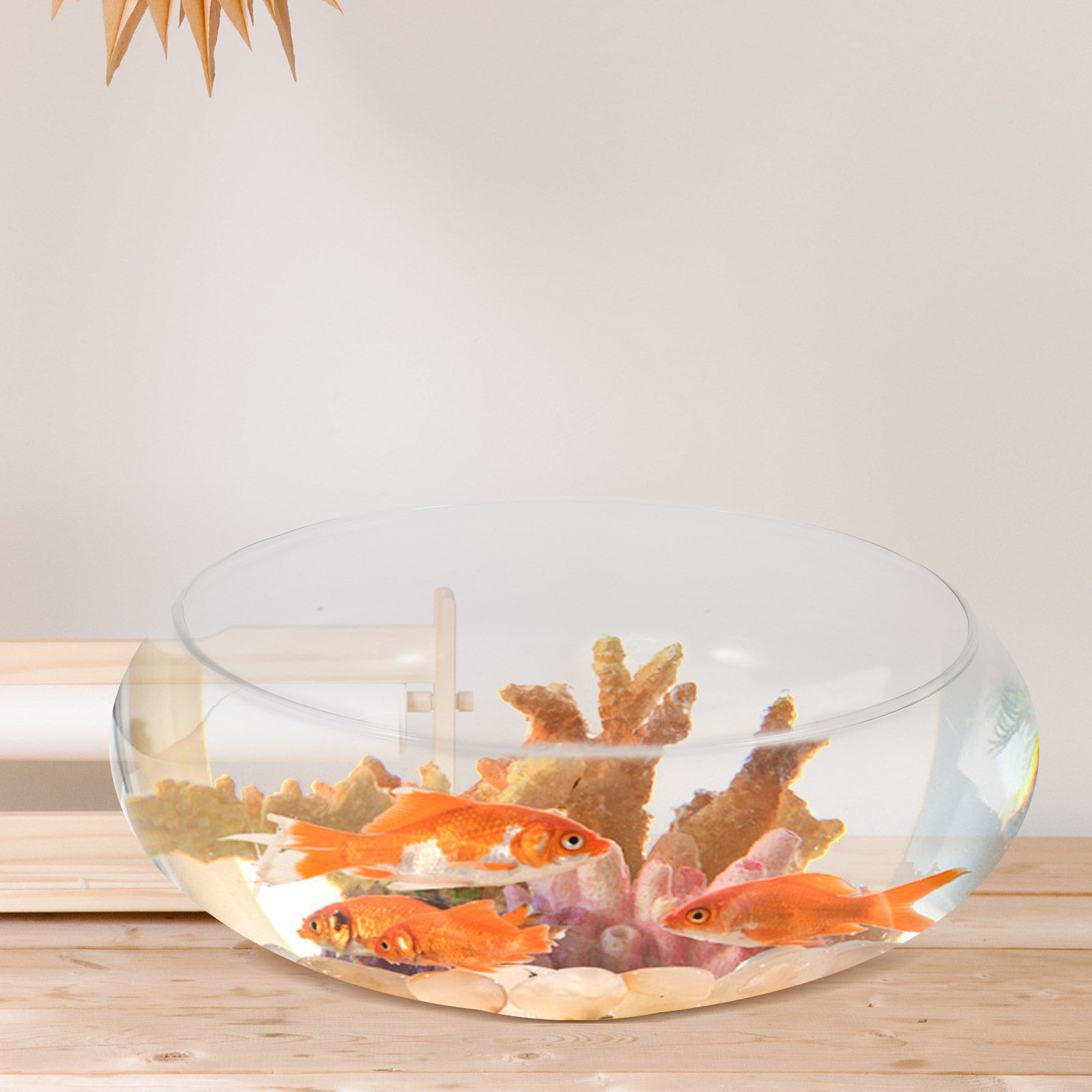 ตู้ปลาแก้วใสพรีเมียมขนาดเล็กสำ - Planted Aquarium For Goldfish บทวิจารณ์และราคา