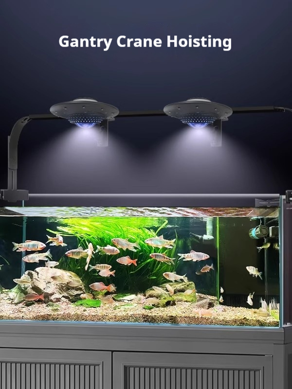 โคมไฟตู้ปลา UFO, โคมไฟสเปกตรัม - Planted Aquarium For Goldfish บทวิจารณ์และราคา
