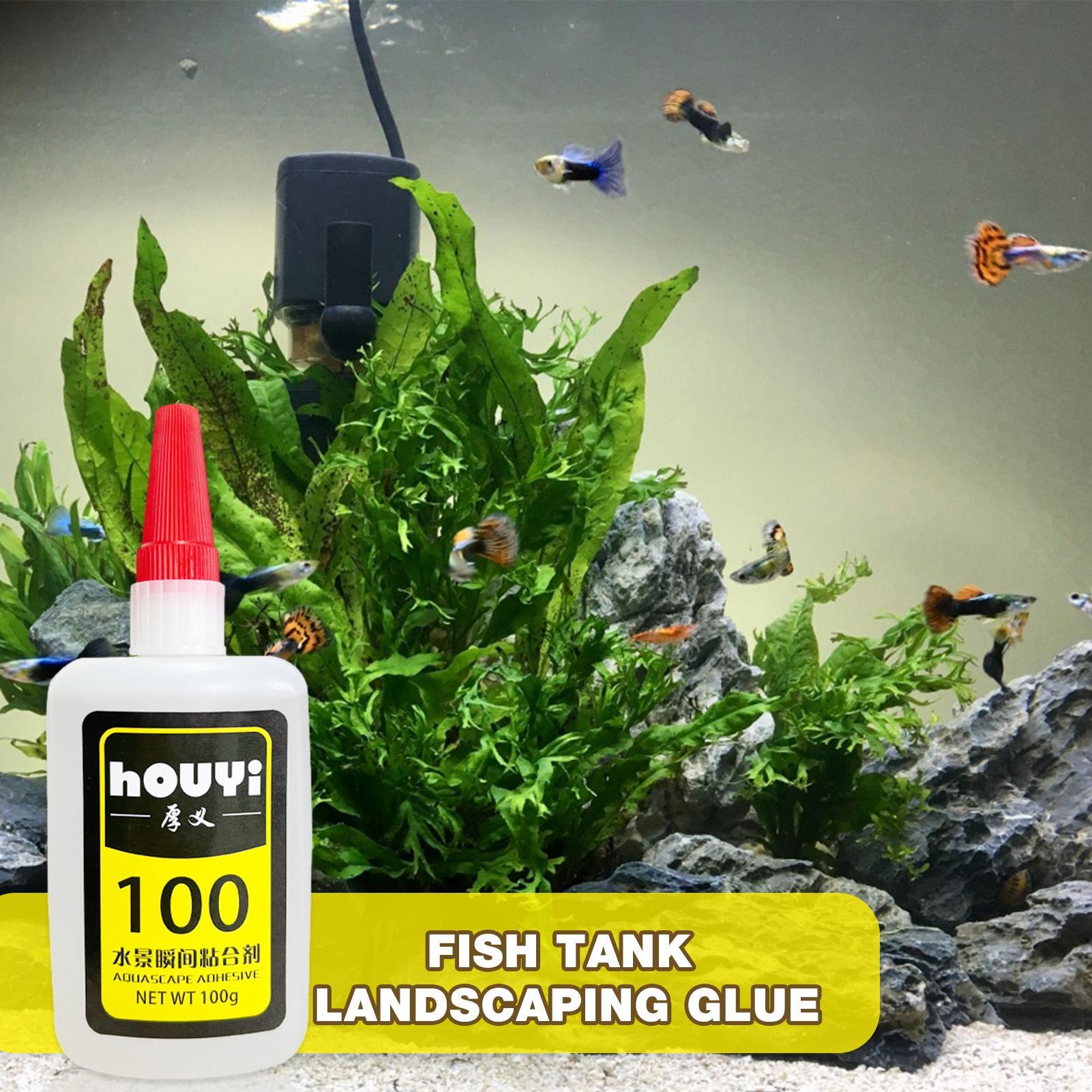 กาวติดต้นไม้น้ำแบบใส 50/100 กร - Aquarium Plant Glue บทวิจารณ์และราคา