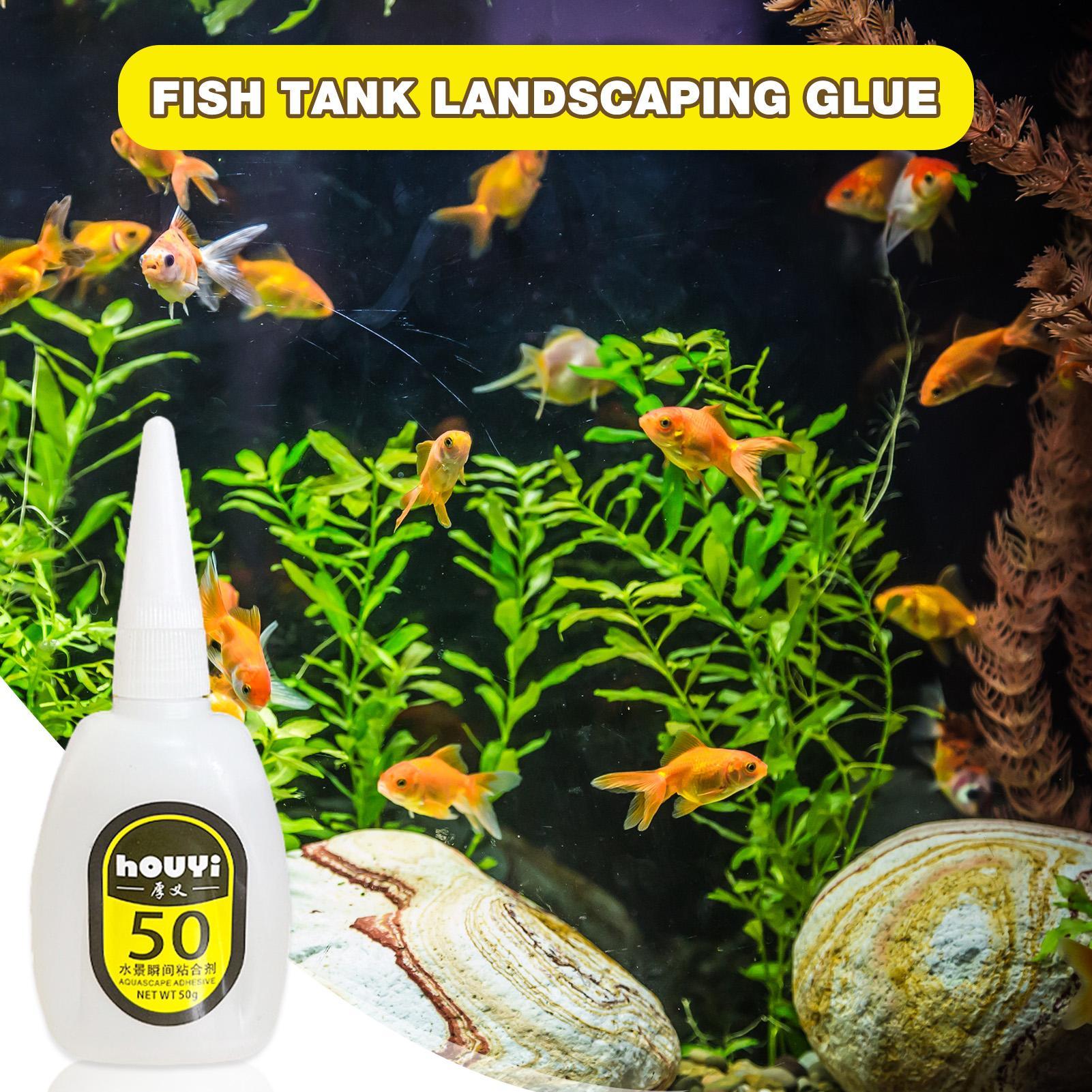 กาวติดต้นไม้น้ำแบบใส 50/100 กร - Aquarium Plant Glue บทวิจารณ์และราคา