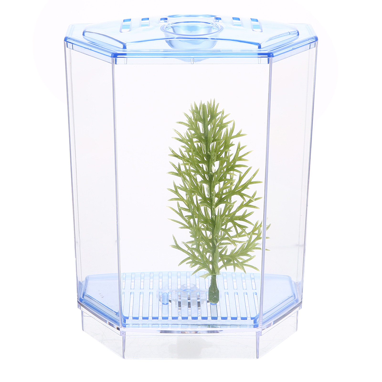 ตู้ปลาขนาดเล็ก พลาสติกใส สำหรั - Planted Aquarium For Goldfish บทวิจารณ์และราคา