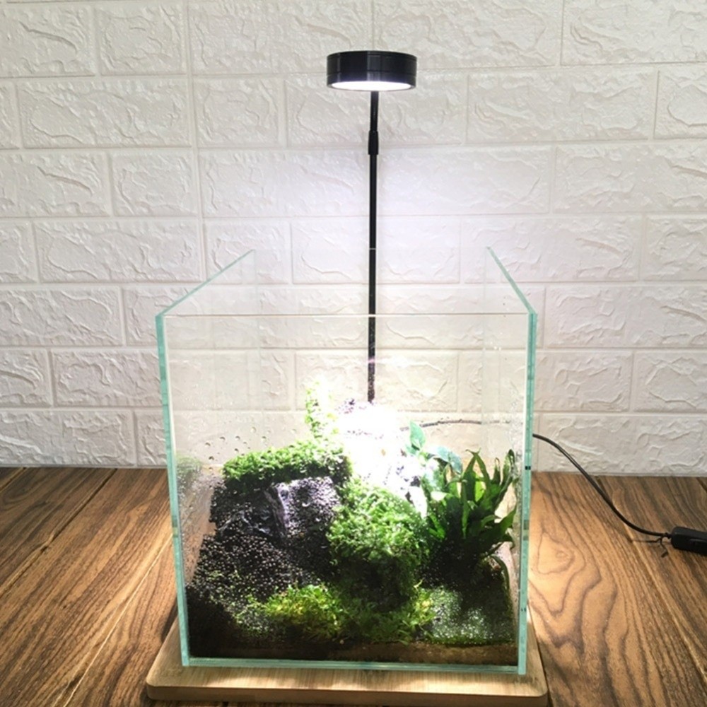 ไฟ LED สำหรับตู้ปลา 10W พร้อมแ - Aquarium Plant On Wood บทวิจารณ์และราคา