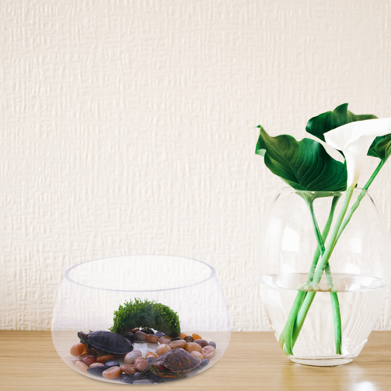 ตู้ปลาแก้วใสทรงกลมขนาดเล็กสำหร - Aquarium Planted Shop บทวิจารณ์และราคา