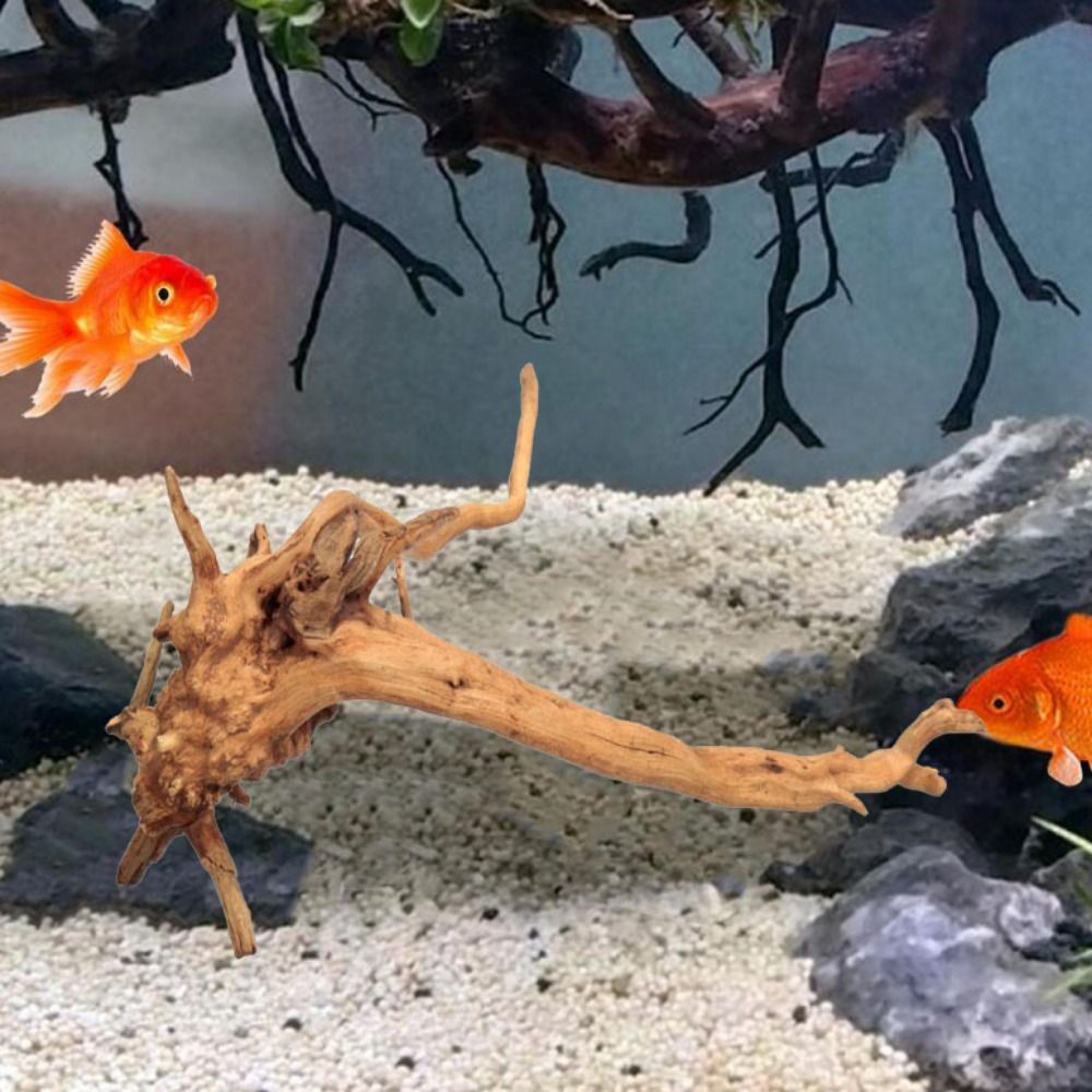 ลำต้นของต้นไม้ธรรมชาติตกแต่งงา - Aquarium Plant Growing บทวิจารณ์และราคา