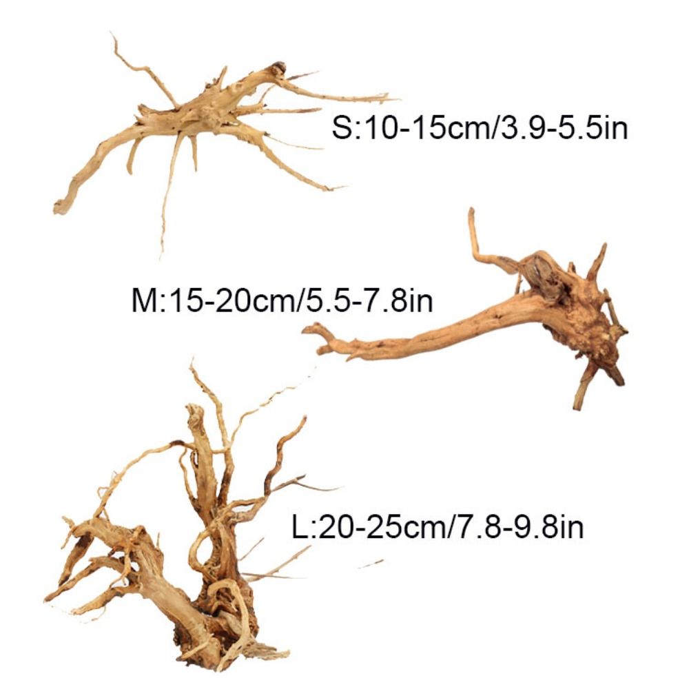 ลำต้นของต้นไม้ธรรมชาติตกแต่งงา - Aquarium Plant Growing บทวิจารณ์และราคา
