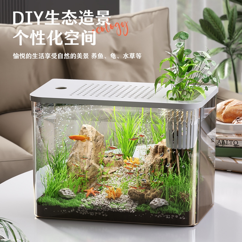 ตู้ปลาพลาสติกใสพร้อมฝาปิด ขนาด - Planted Aquarium For Goldfish บทวิจารณ์และราคา
