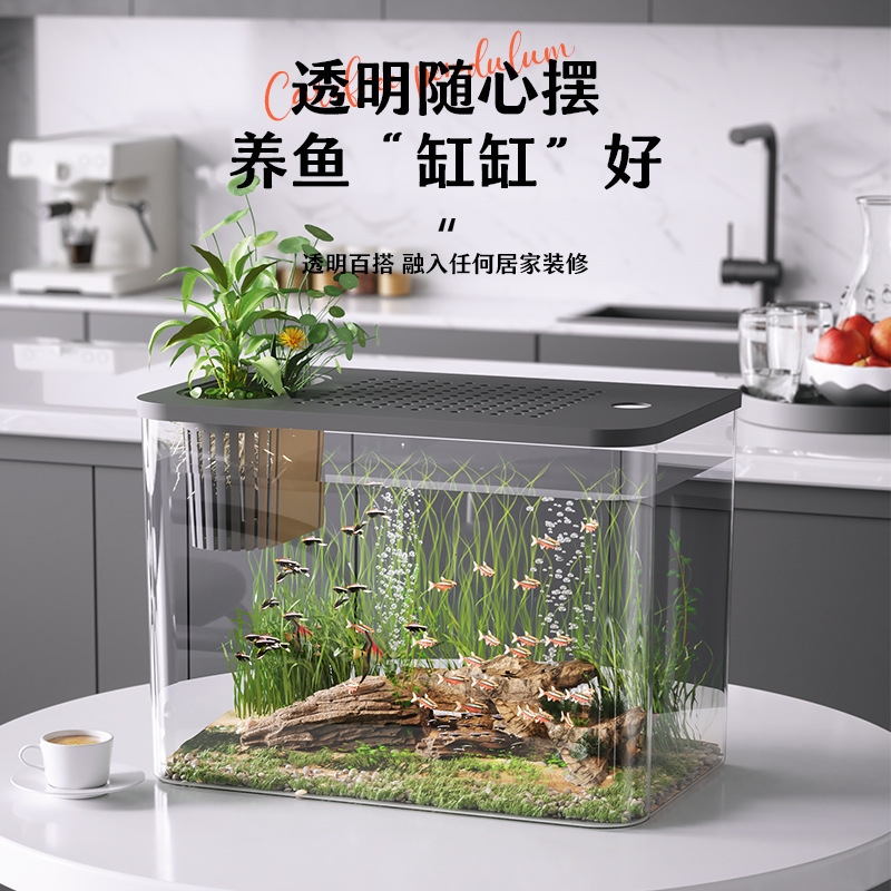 ตู้ปลาพลาสติกใสพร้อมฝาปิด ขนาด - Planted Aquarium For Goldfish บทวิจารณ์และราคา