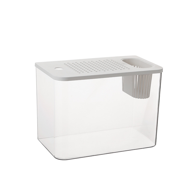 ตู้ปลาพลาสติกใสพร้อมฝาปิด ขนาด - Planted Aquarium For Goldfish บทวิจารณ์และราคา