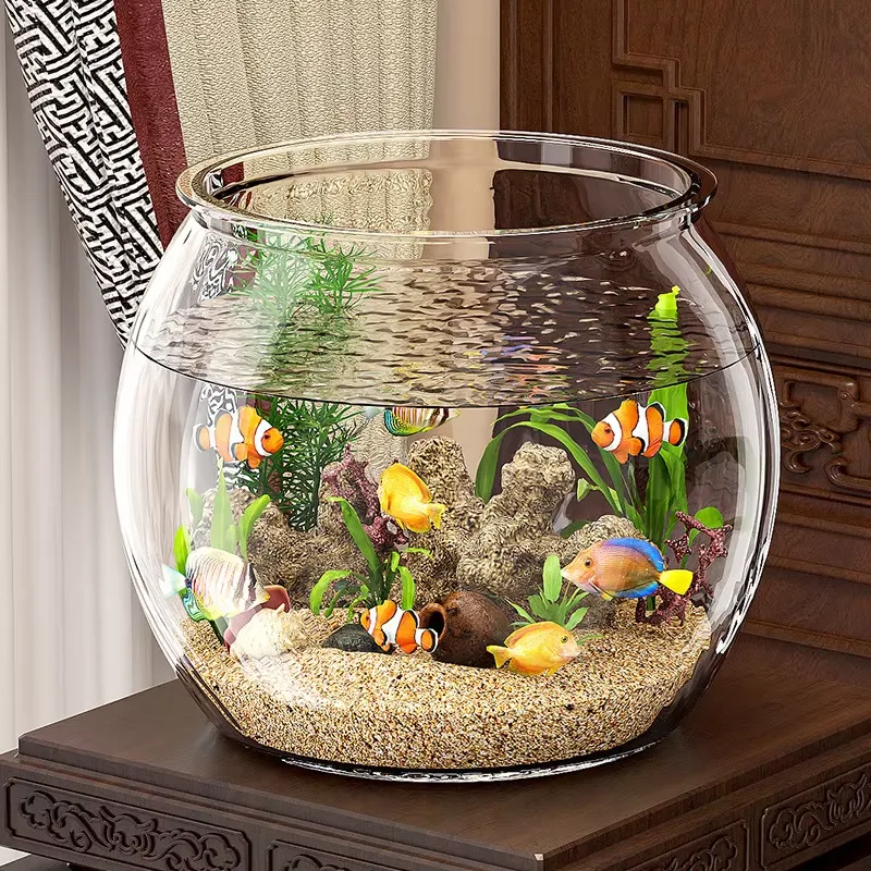 ตู้ปลาพลาสติกใสขนาดกะทัดรัดคุณ - Planted Aquarium For Goldfish บทวิจารณ์และราคา