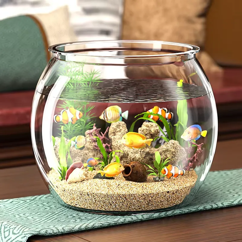 ตู้ปลาพลาสติกใสขนาดกะทัดรัดคุณ - Planted Aquarium For Goldfish บทวิจารณ์และราคา