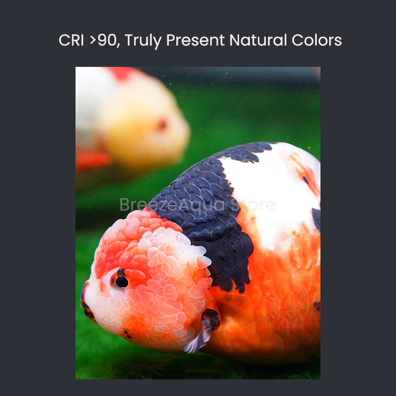 ไฟ LED สำหรับตู้ปลา MAYIN Supe - Planted Aquarium For Goldfish บทวิจารณ์และราคา
