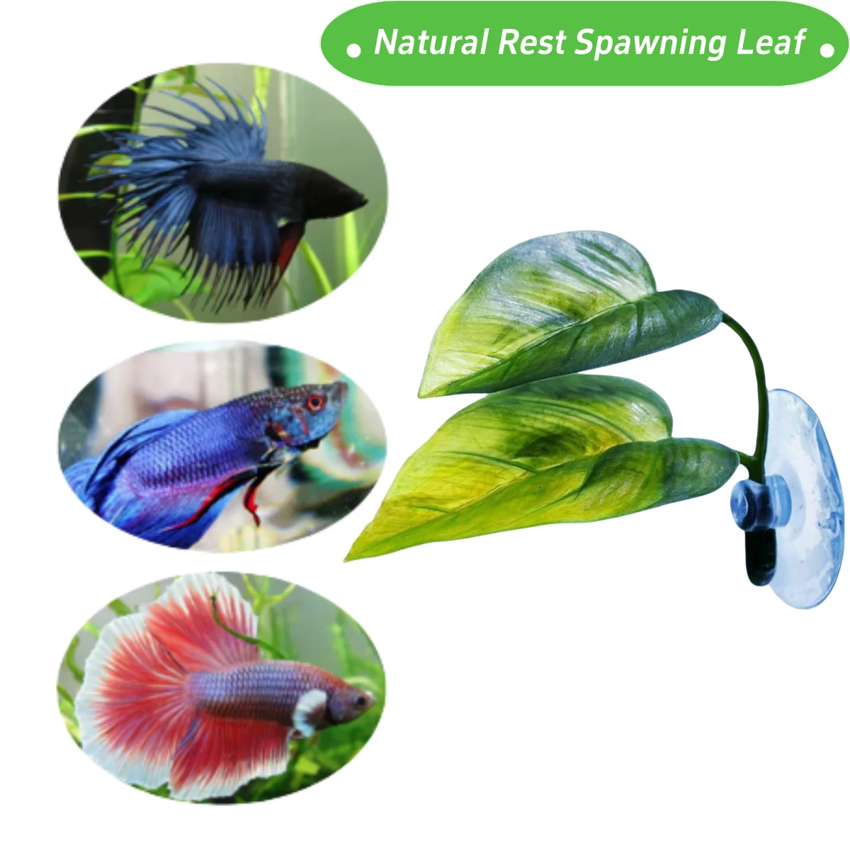 ของตกแต่งตู้ปลาสำหรับสัตว์เลี้ - Aquarium Plant Growing บทวิจารณ์และราคา