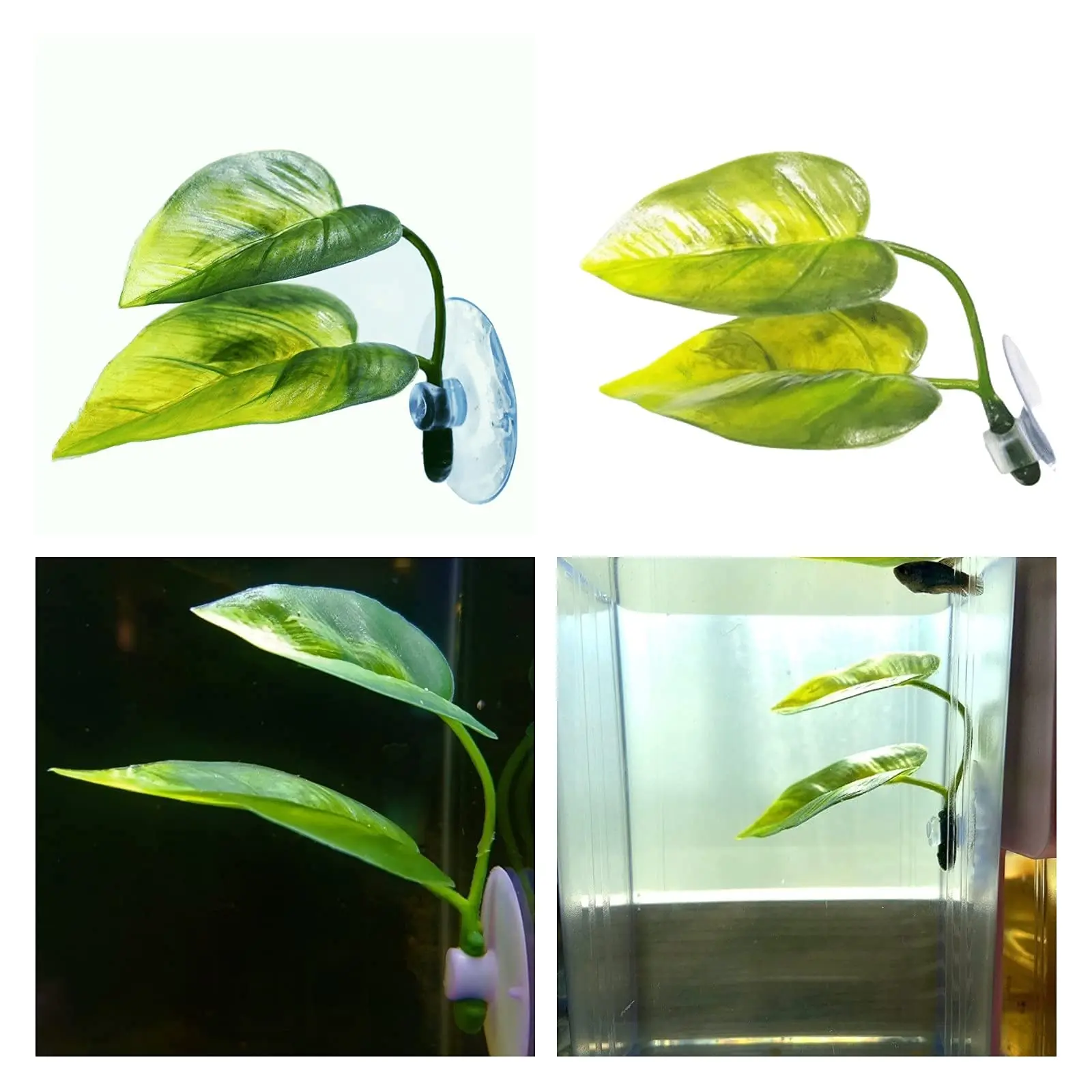 ของตกแต่งตู้ปลาสำหรับสัตว์เลี้ - Aquarium Plant Growing บทวิจารณ์และราคา