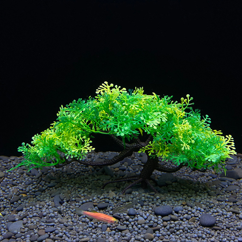 ต้นบอนไซตู้ปลา, พืช, ตกแต่งตู้ - Planted Aquarium For Goldfish บทวิจารณ์และราคา