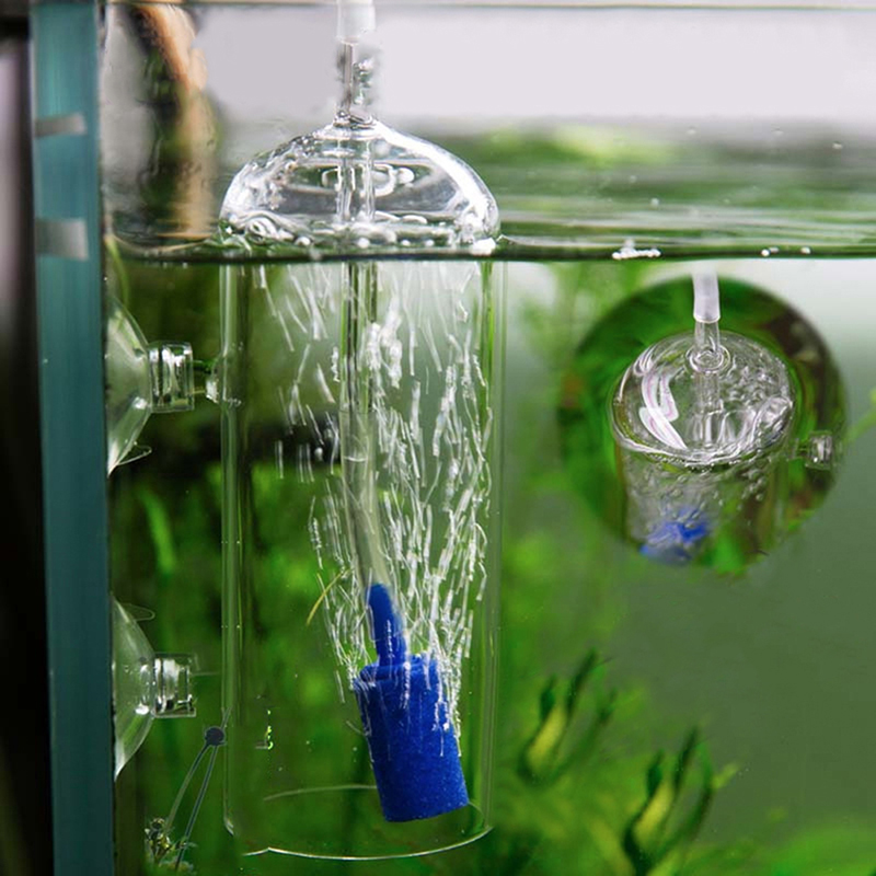 5ชิ้นรูปทรงกระบอกปล่อยฟองอากาศ - Aquarium Lily Pipe บทวิจารณ์และราคา