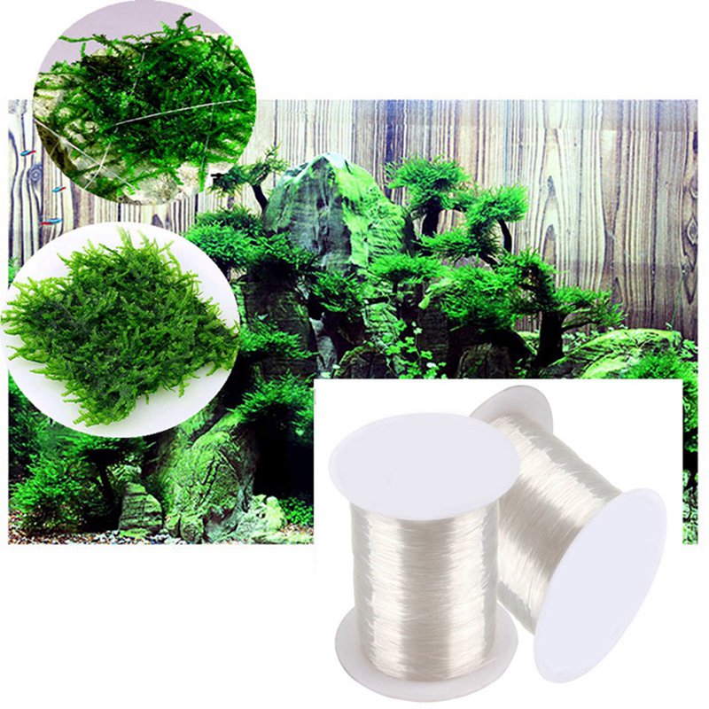 120M DIY MOSS Line Binding Lin - Aquarium Plant Echinodorus บทวิจารณ์และราคา